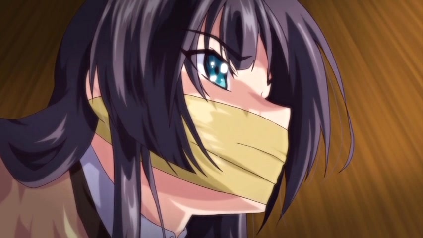 Tokubetsu Jugyou 3slg The Animation