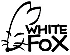 9803-White_Fox-foto