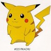 Pikachu95