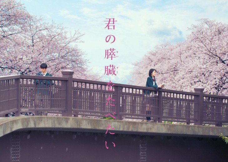 Kimi No Suizo Wo Tabetai