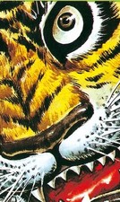 Tiger Mask - Uomo Tigre