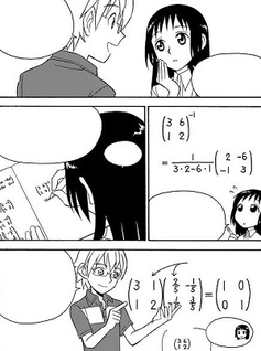 I manga delle scienze - Matematica: Algebra Lineare