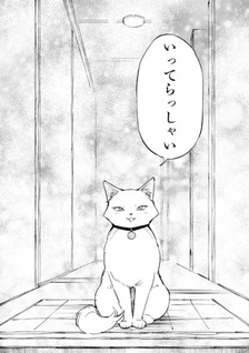 Ikebo Cat