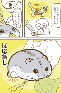 Kyō mo Hamster kara Me ga Hanasenai!