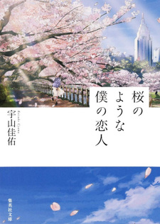 Sakura no Yona Boku no Koibito