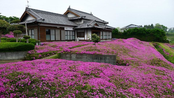 Casa%20con%20giardino