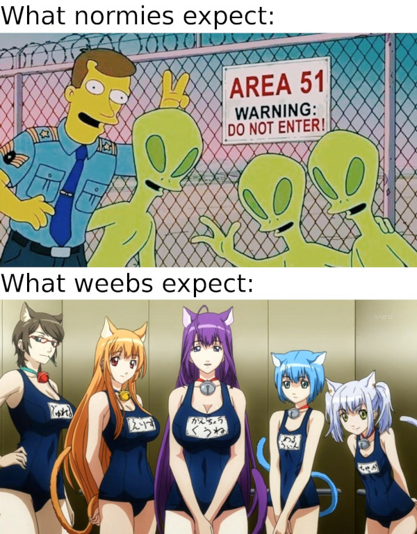 Area 51 catgirls