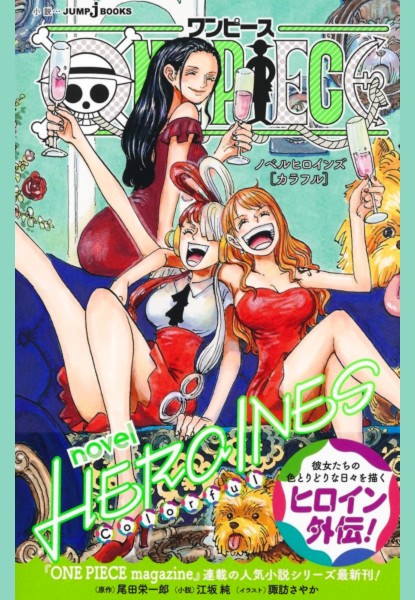 One Piece Heroines Novel Colorful