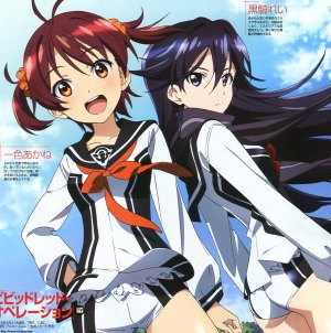 Vividred Operation