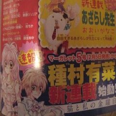Nuovo manga per Arina Tanemura a Febbraio