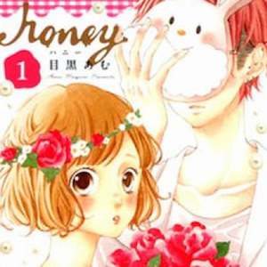 Honey (Amu Meguro) e Boku no Ie ni Oide terminano in Giappone
