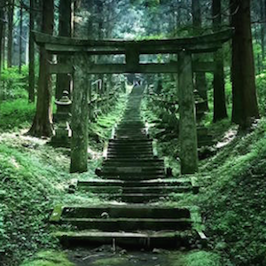 Il santuario boschivo di Hotarubi no Mori incanta Twitter
