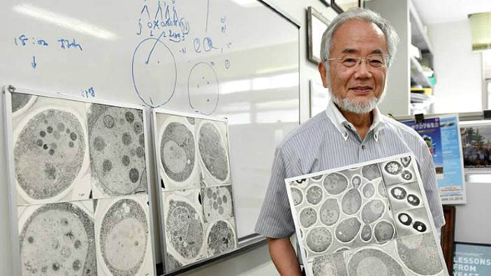 Il Nobel per la medicina è stato assegnato ad un giapponese: scopriamo chi è