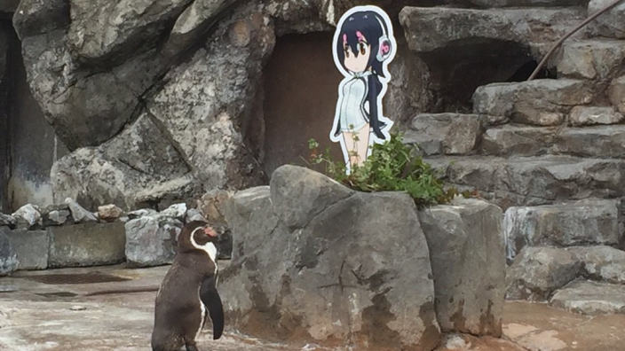 Ci lascia Grape-kun, il pinguino otaku