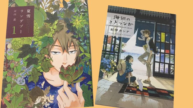Flashbook annuncia i manga Umibe no Etranger e Natsuyuki Rendezvous