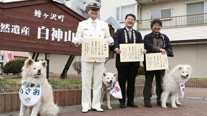 Un cane akita come capostazione? In Giappone succede!