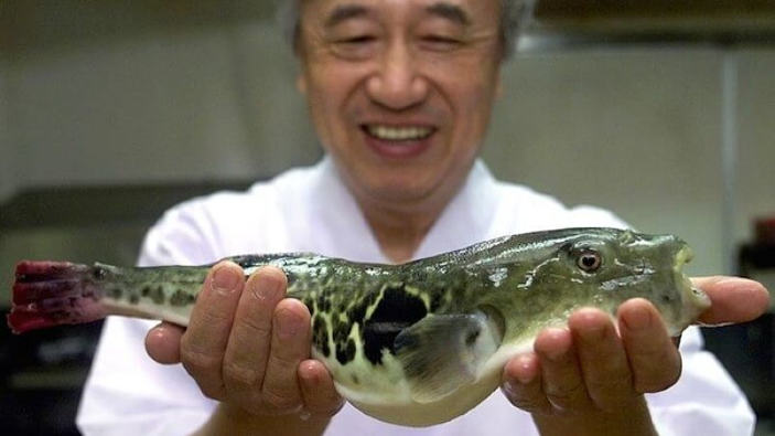 Fugu: tutti i modi per assaggiare il pesce più pericoloso che esista
