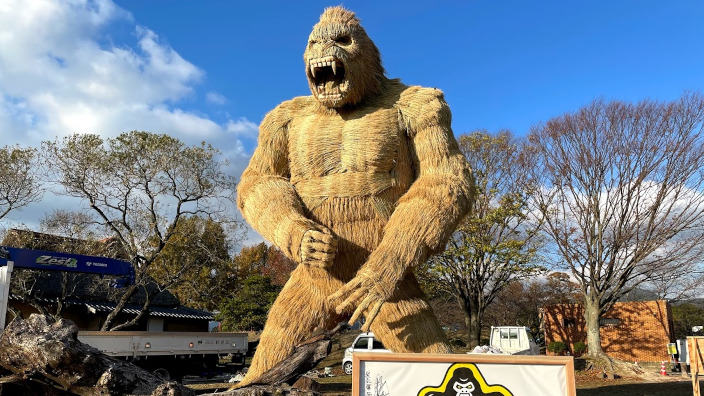 Un gorilla di 7 metri eretto contro il Covid-19 a Fukuoka