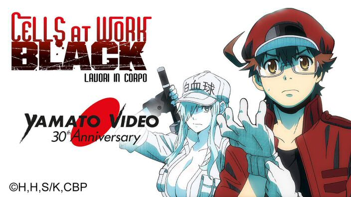 Yamato Video annuncia il doppiaggio italiano di Cells at Work Black