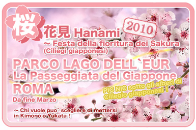 Fioritura ciliegi Fioritura ciliegi