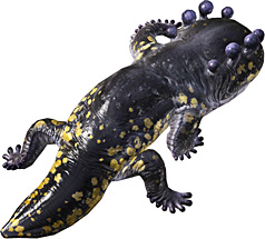 Final Fantasy XIV News 5 - New Monster 08 - Salamander 01