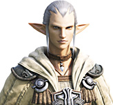 Final Fantasy XIV Info Extra - Race 01 - Elezen 01 Final Fantasy XIV Info Extra - Race 01 - Elezen 01