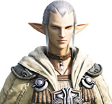 Final Fantasy XIV Info Extra - Race 01 - Elezen 01