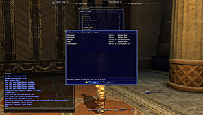 Final Fantasy XIV Online Review - Recensione - 59 - New Market Wards Interface 02