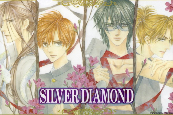 Silver Diamond