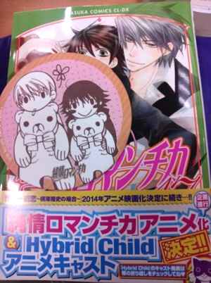 La fascetta che avvolge il XVII volume del manga yaoi Junjo Romantica