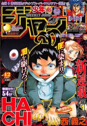Hachi Hachi