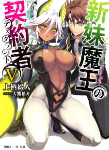 Shinmai maou no Testament vol 5 novel