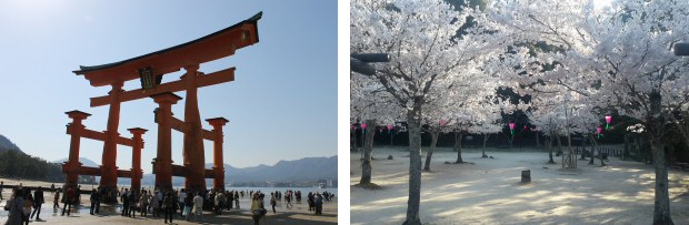 5° viaggio in Giappone AnimeClick.it - Miyajima - 01/04/2014 5° viaggio in Giappone AnimeClick.it - Miyajima - 01/04/2014