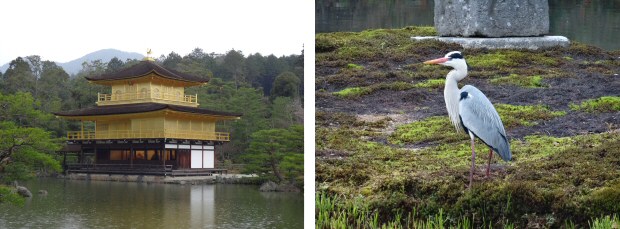 5° viaggio in Giappone AnimeClick.it - Kinkakuji - 04/04/2014 5° viaggio in Giappone AnimeClick.it - Kinkakuji - 04/04/2014