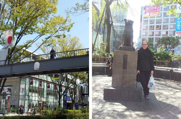 5° viaggio in Giappone AnimeClick.it - Tokyo - 07/04/2014 5° viaggio in Giappone AnimeClick.it - Tokyo - 07/04/2014