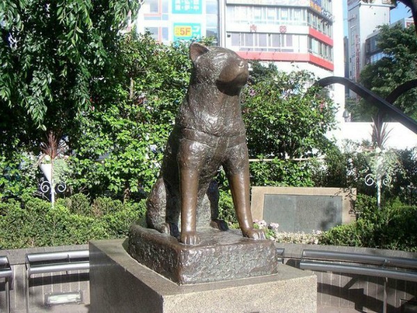 Hachiko statua Shibuya