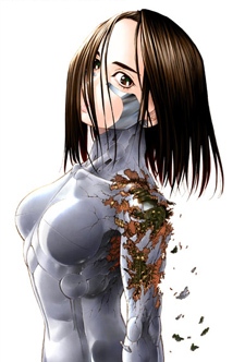 Alita Alita