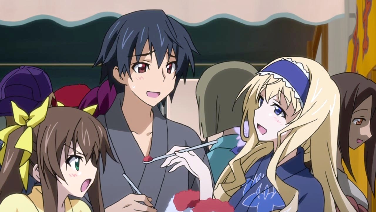 IS: Infinite Stratos 2 - Hitonatsu no Omoide - Pictures 