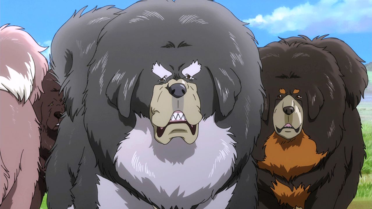 The Tibetan Dog (Anime) The Tibetan Dog (Anime)