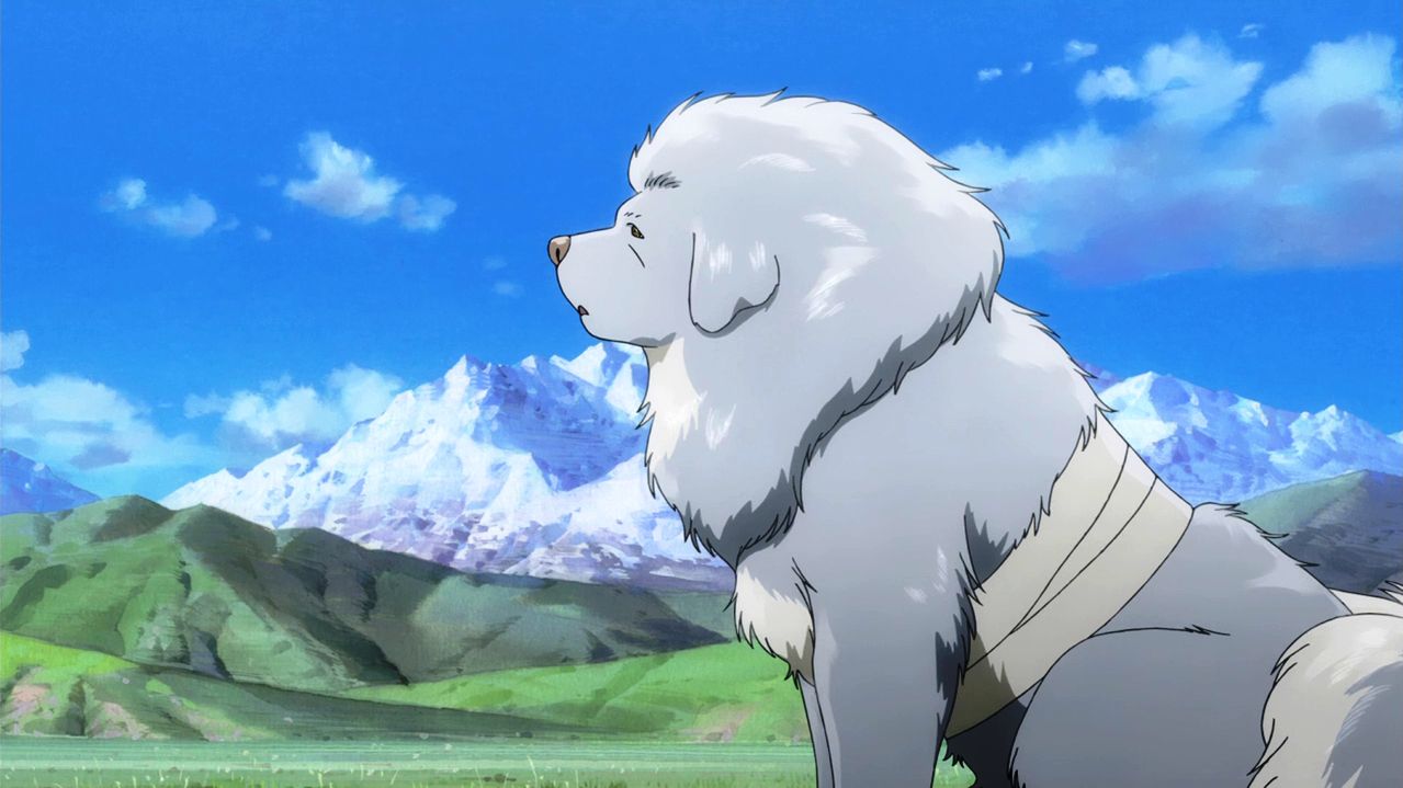 The Tibetan Dog (Anime) The Tibetan Dog (Anime)
