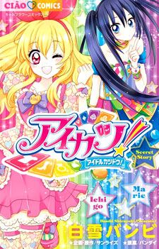 Aikatsu! - Secret Story