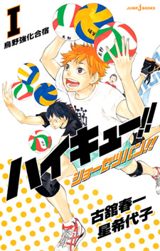 Haikyuu!! Shousetsu-ban!!