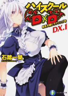 High School DXD DX. (Novel)