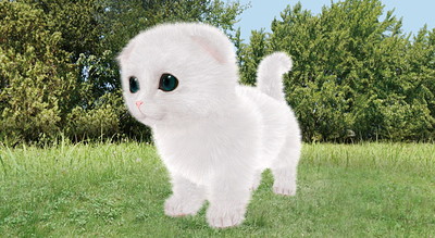 Aabs Animals