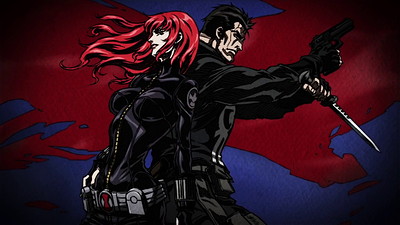 Avengers Confidential: Black Widow & Punisher