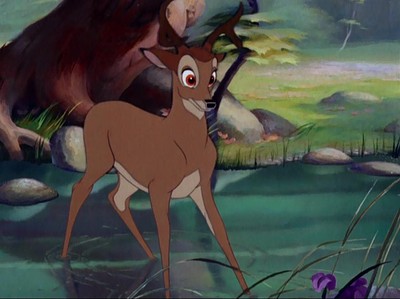 Bambi19