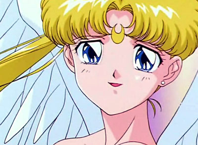 Petali di stelle per Sailor Moon