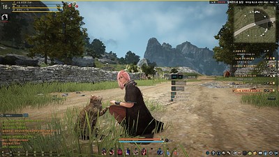 Black Desert Online