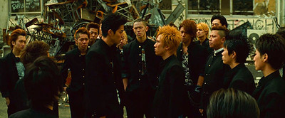 Crows Explode