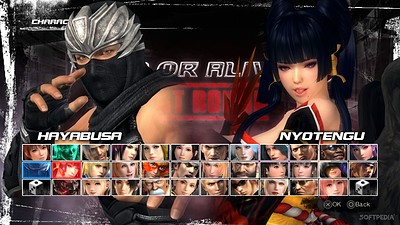 Dead or Alive 5 Last Round
